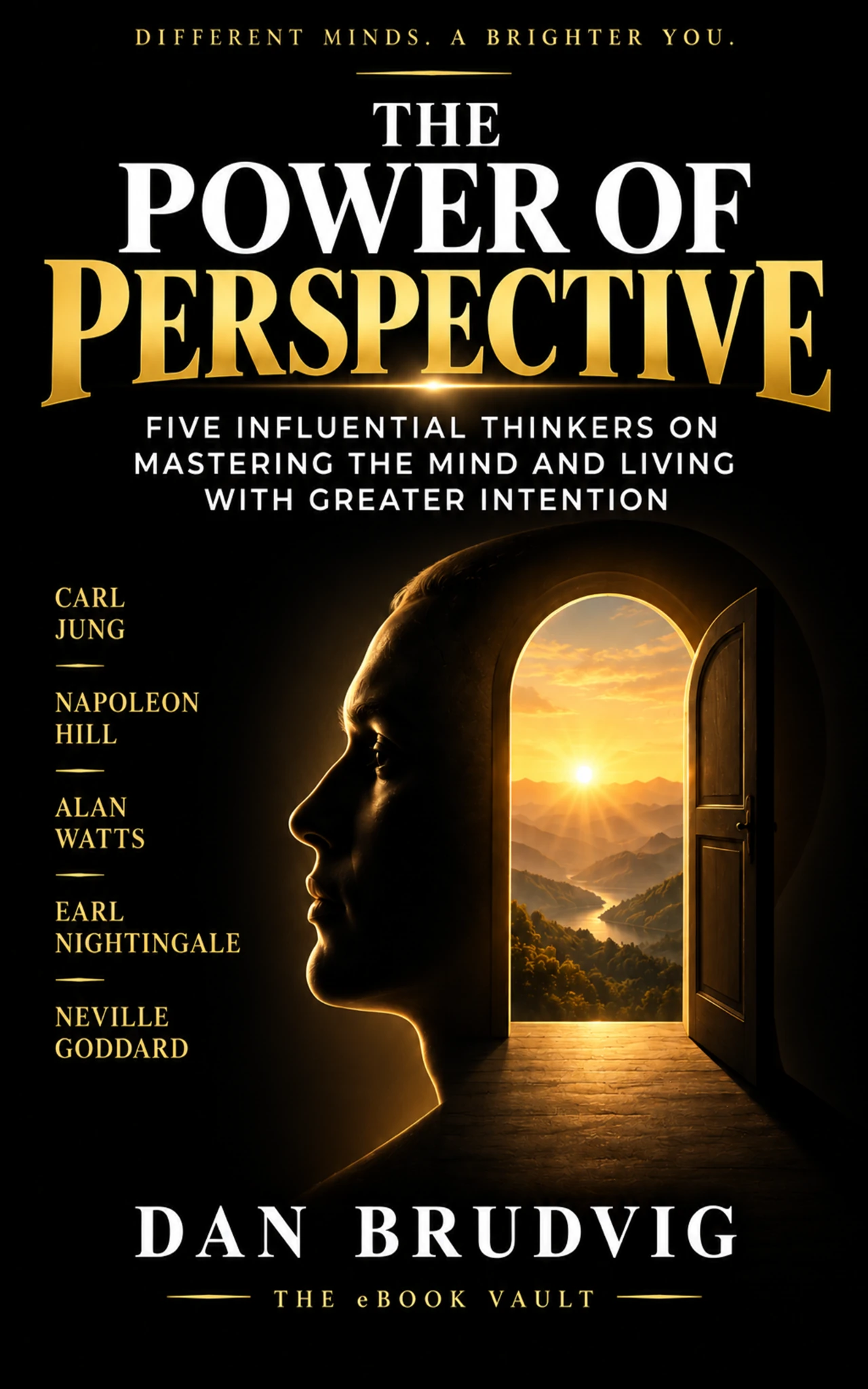 Cover of The Power of Perspective by Dan Brudvig